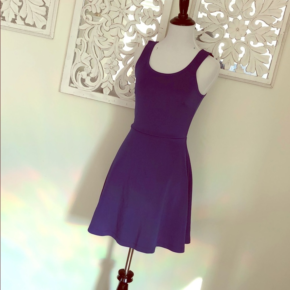 Cobalt Blue Skater Dress